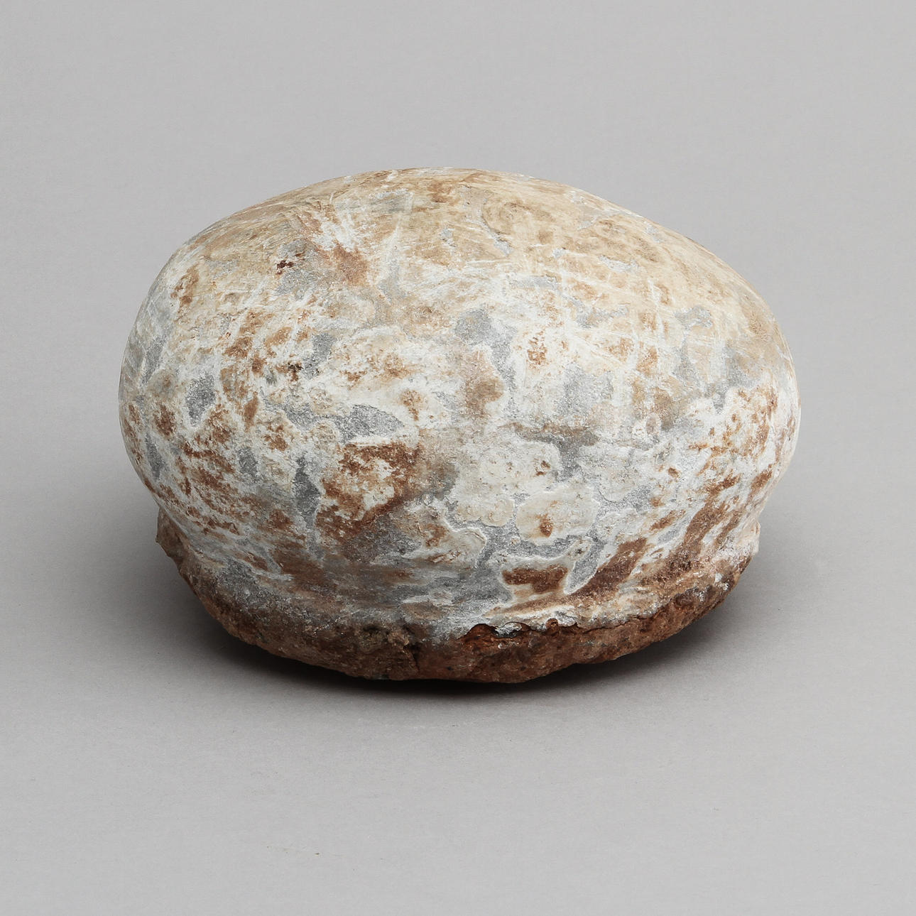 DINOSARIEÄGG, fossil.