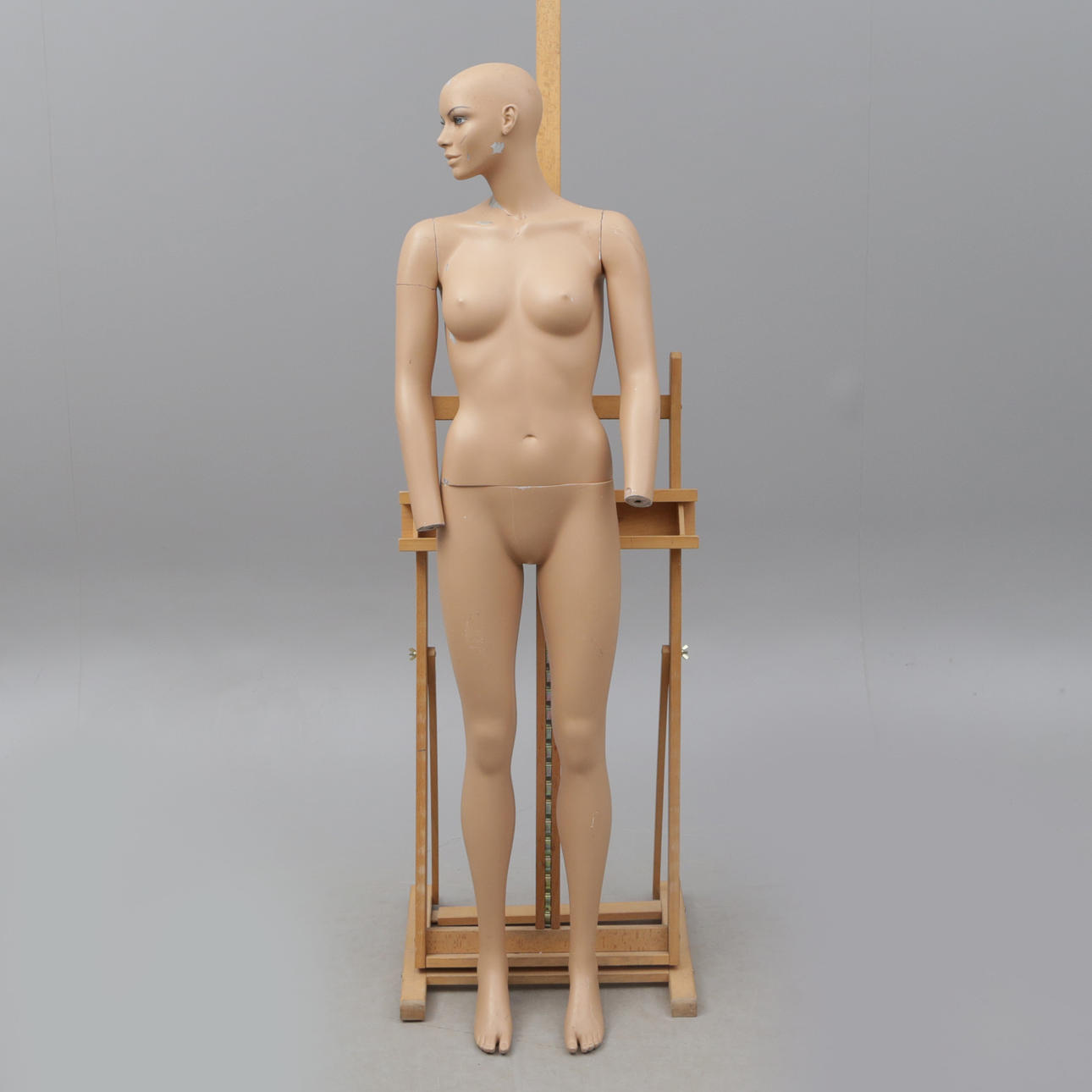 MANNEQUIN, in parts.