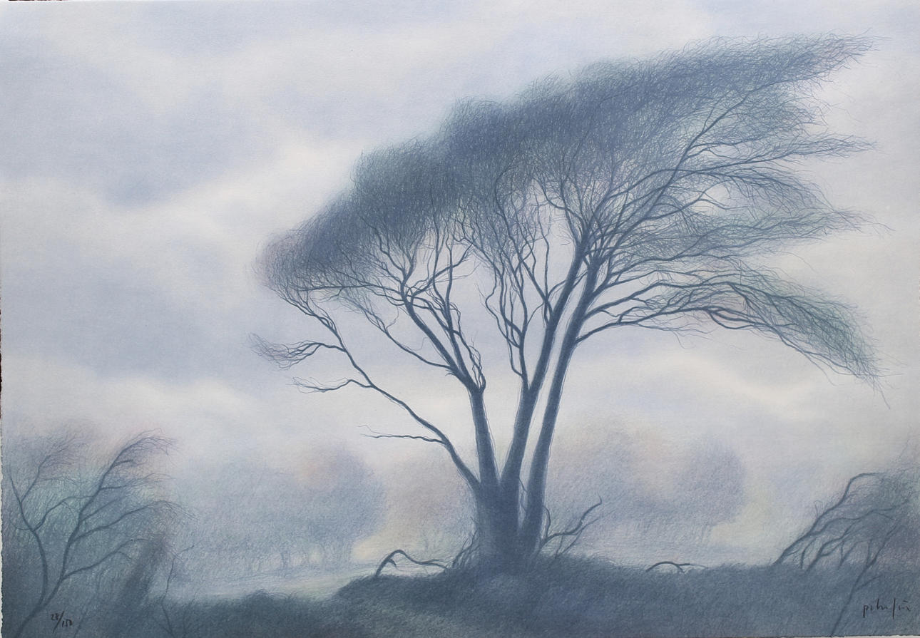 PETER FRIE. Lithograph in colours, The tree, numbered 95/150, signed.