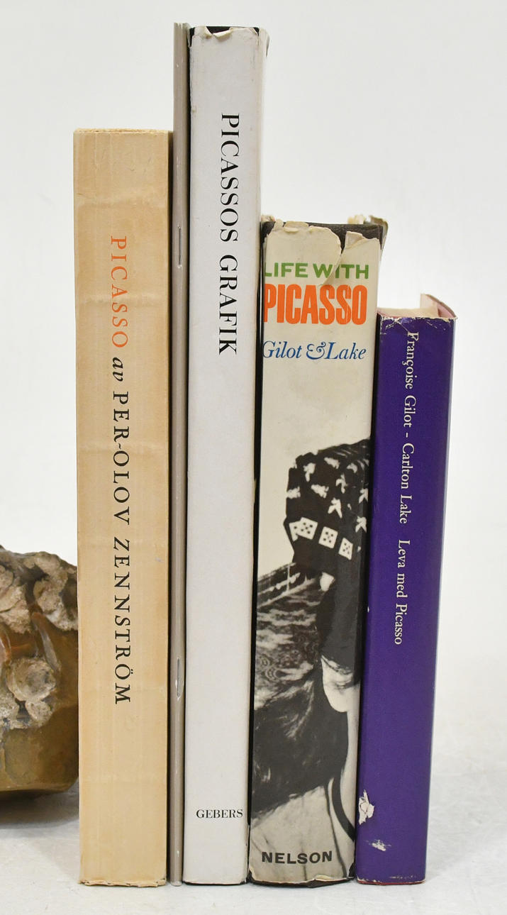 Art books about Picasso. 5 Volumes.