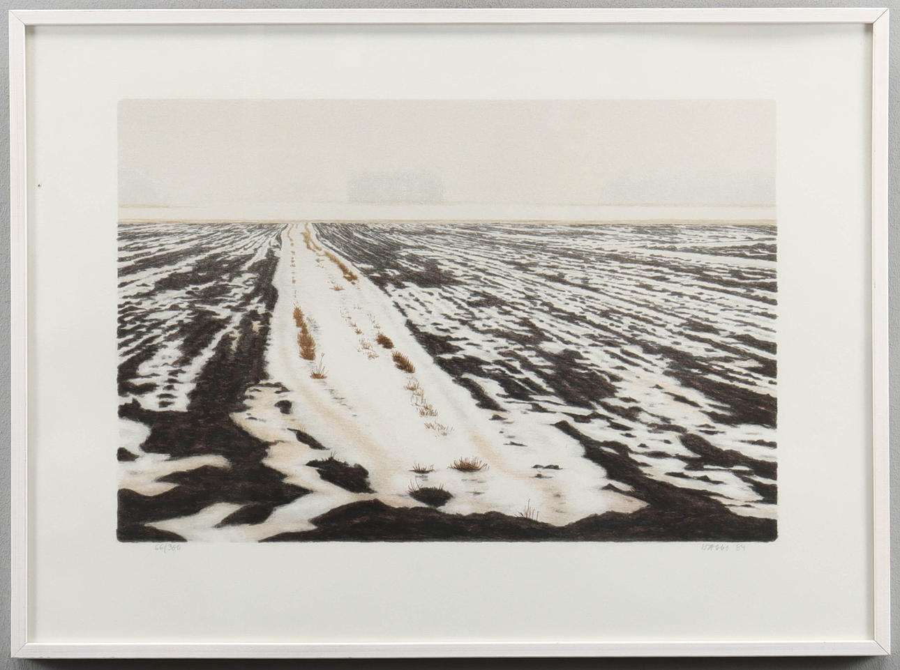 HARRO KOSKINEN lithograph 66/360, signed.