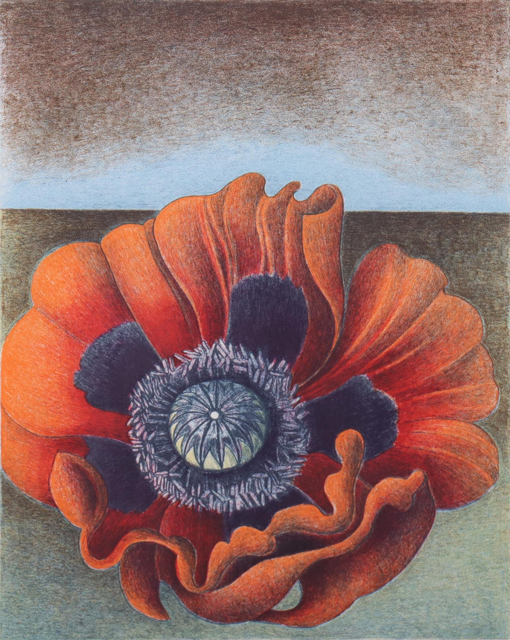 MARIA HILLFON. litografi, blomma.