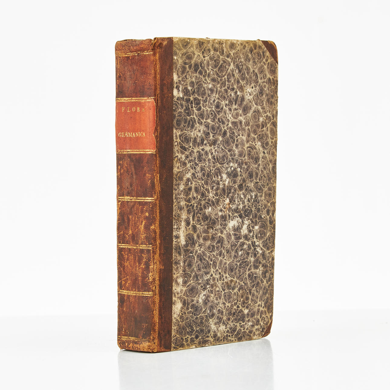 BOTANY, FLORA GERMANICA, 1806.