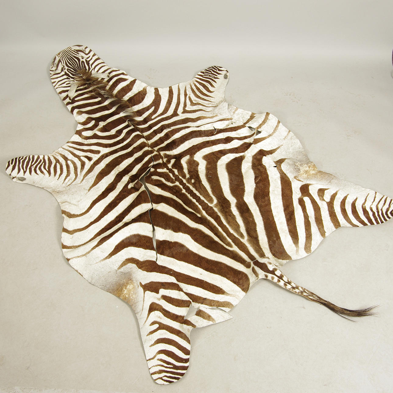 ZEBRASKINN.