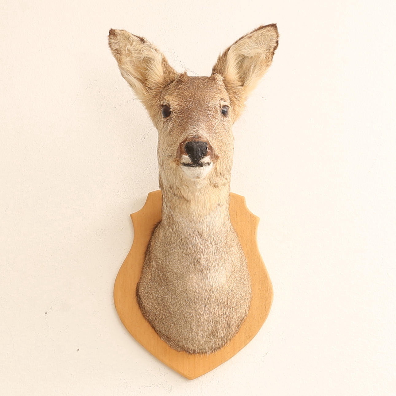 DEER SKILLING, bogmontage.