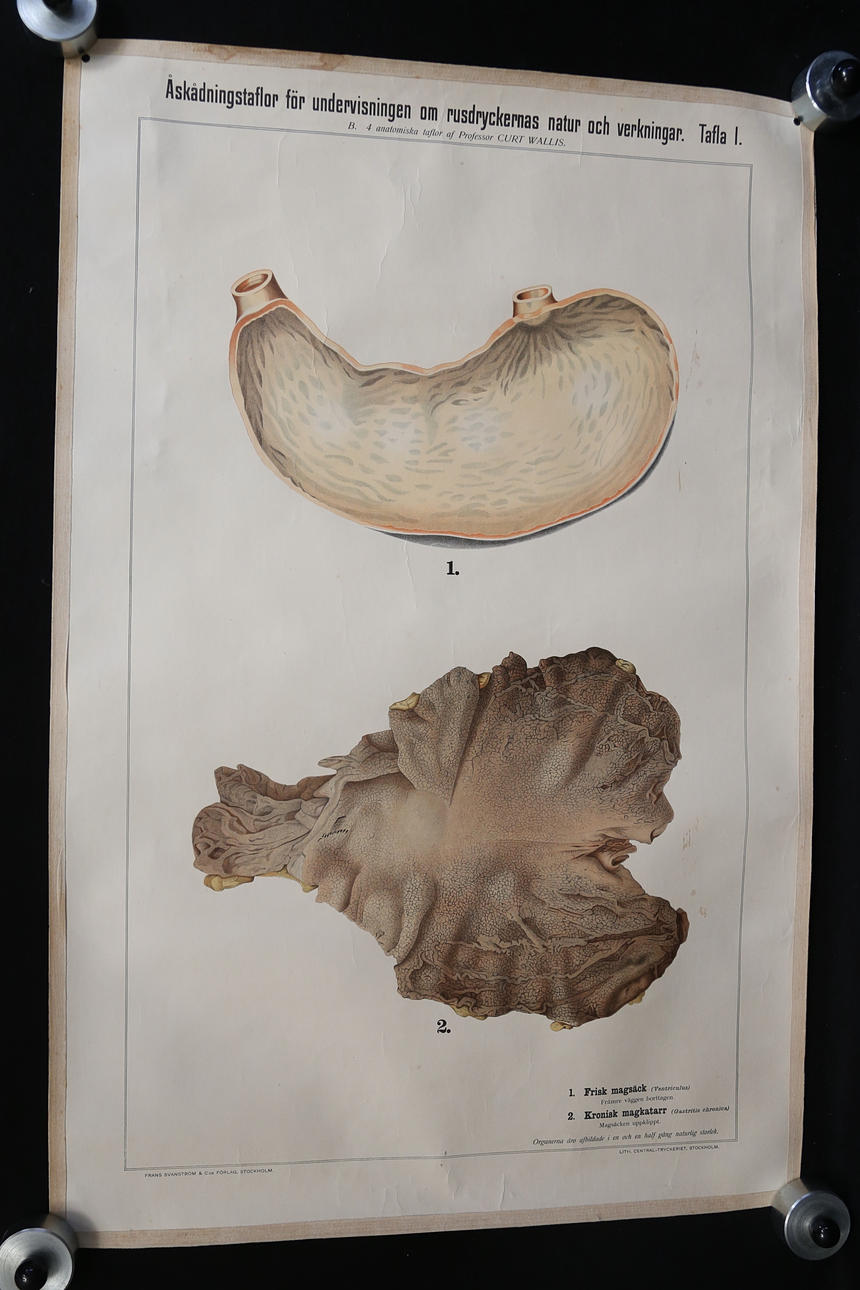 SCHOOL PLANS. 4 pcs, if intoxicated.