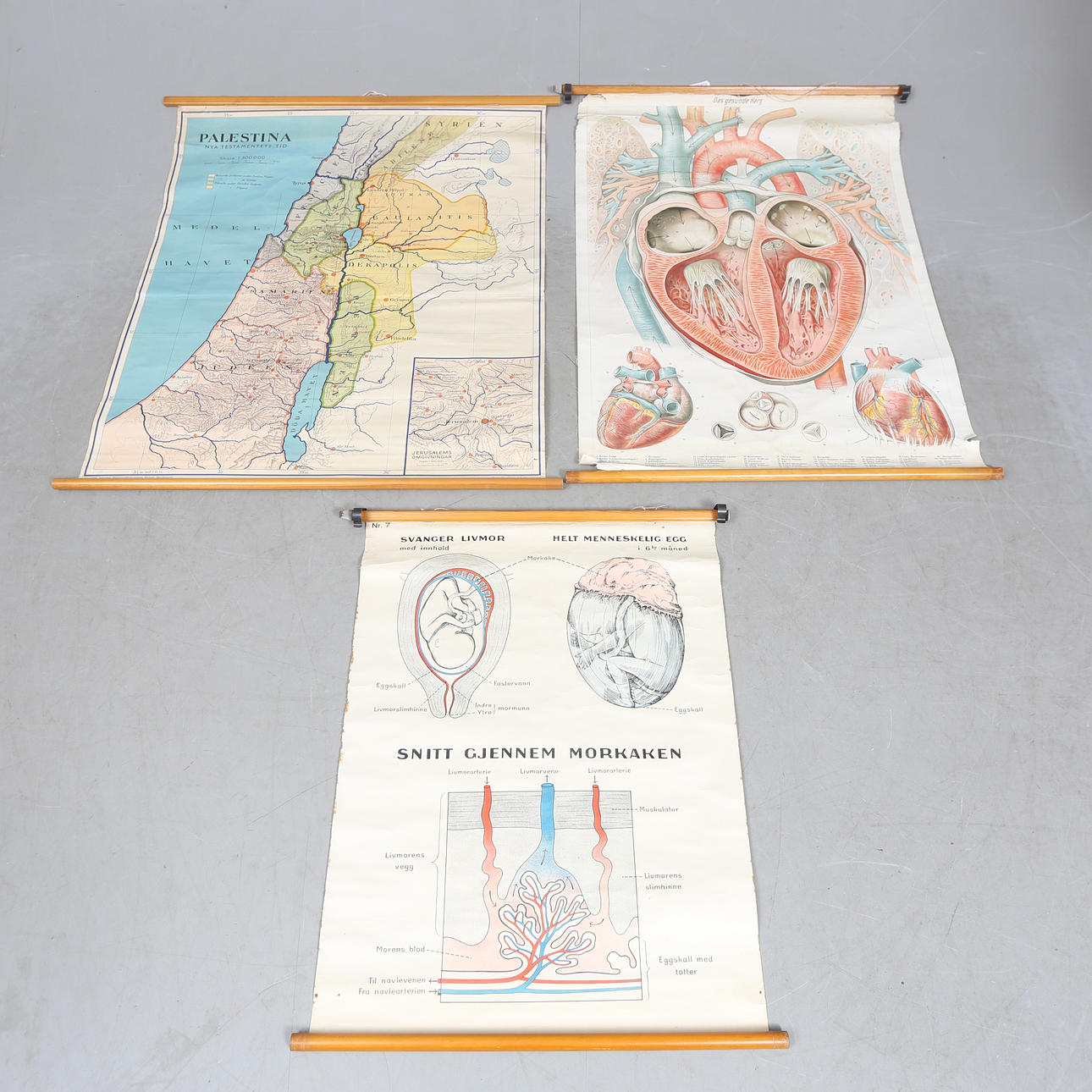 3 school plans, for example, about biology.