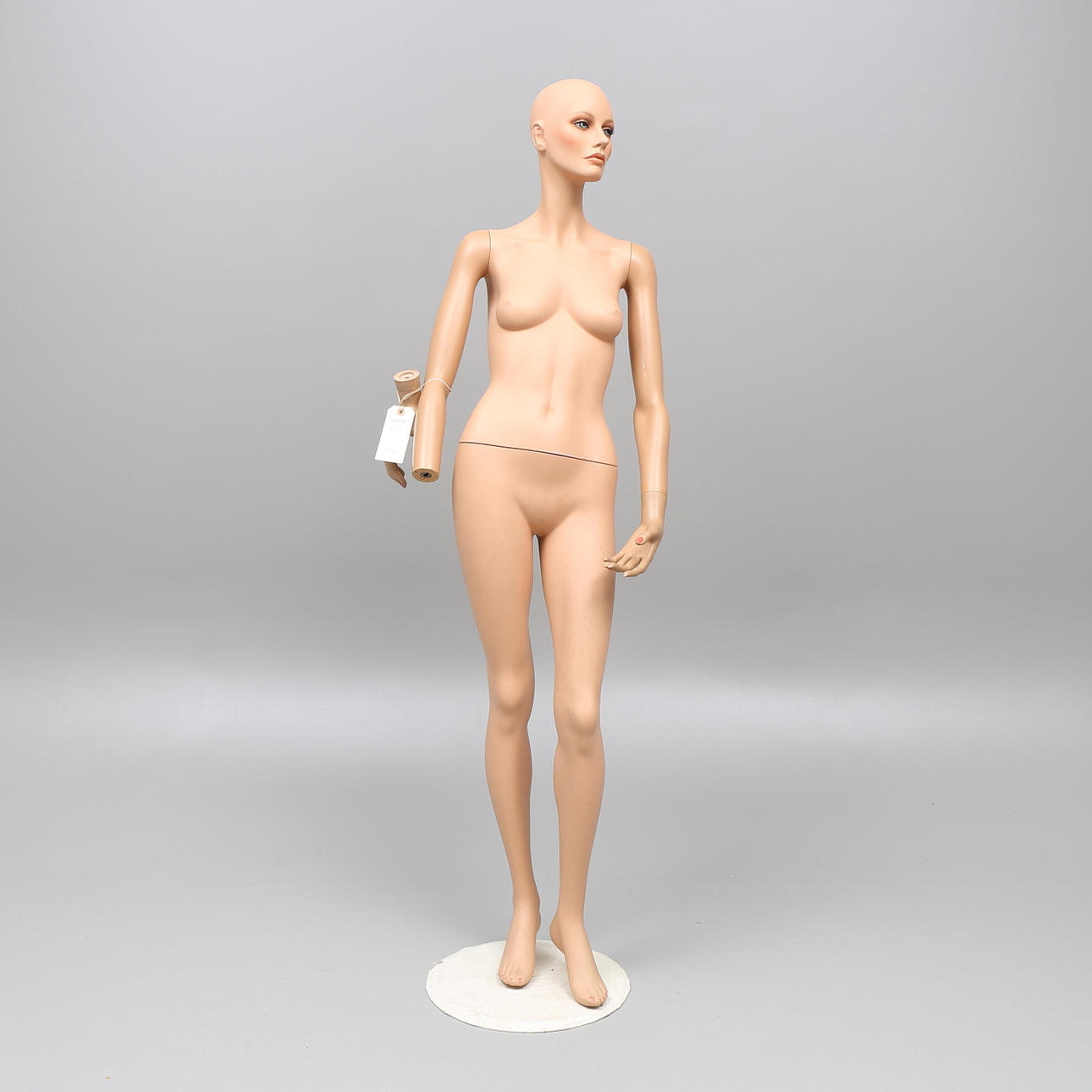 SKYLTDOCKA, dam, troligen Adel Rootstein.