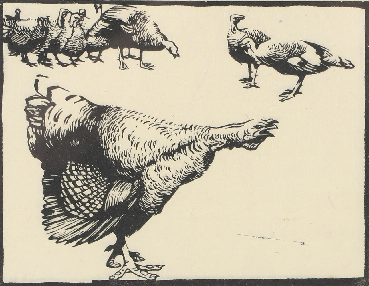 CARL O. PETERSEN. „Kalkuner“, træsnit.