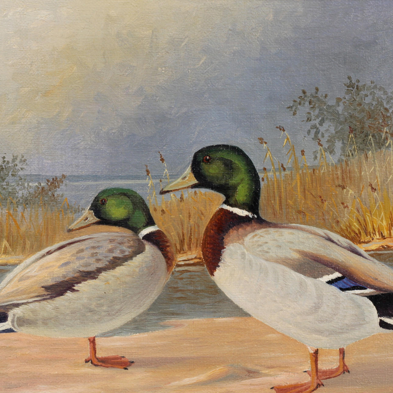 EJNAR KOHLMANN. Olja på duk, änder, signerad.