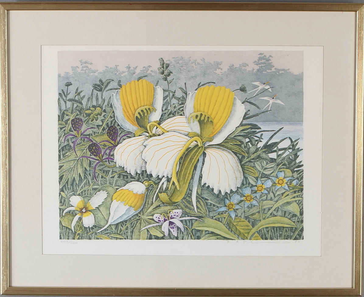 KARL AXEL PEHRSON. Komposition med fantasiväxter, färglitografi, signerad och numrerad 347/360.