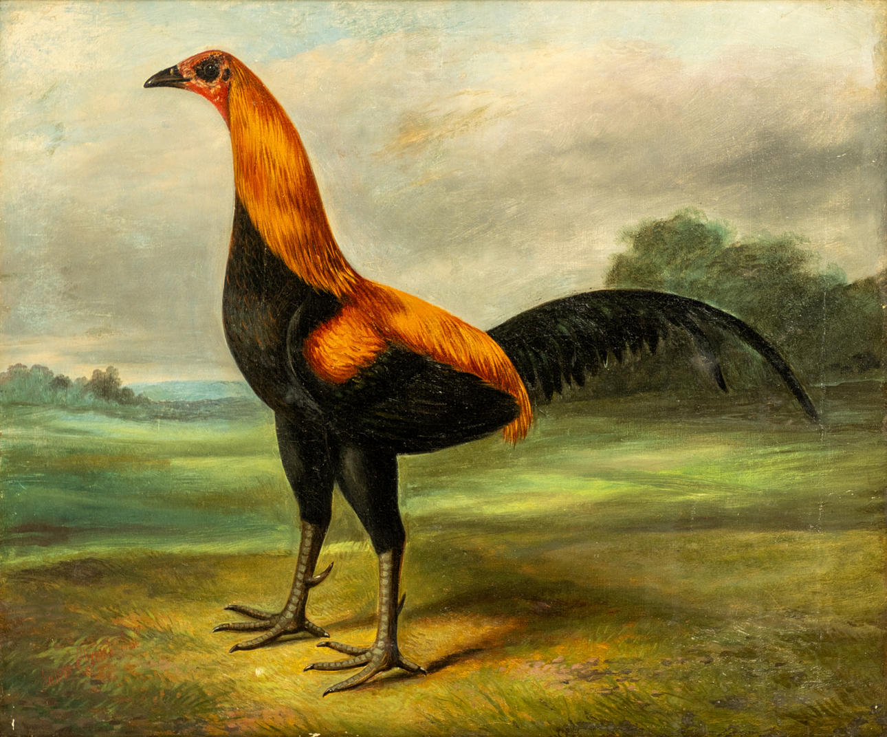 MALER DES 19. JAHRHUNDERTS. Englischer Kampfhahn.