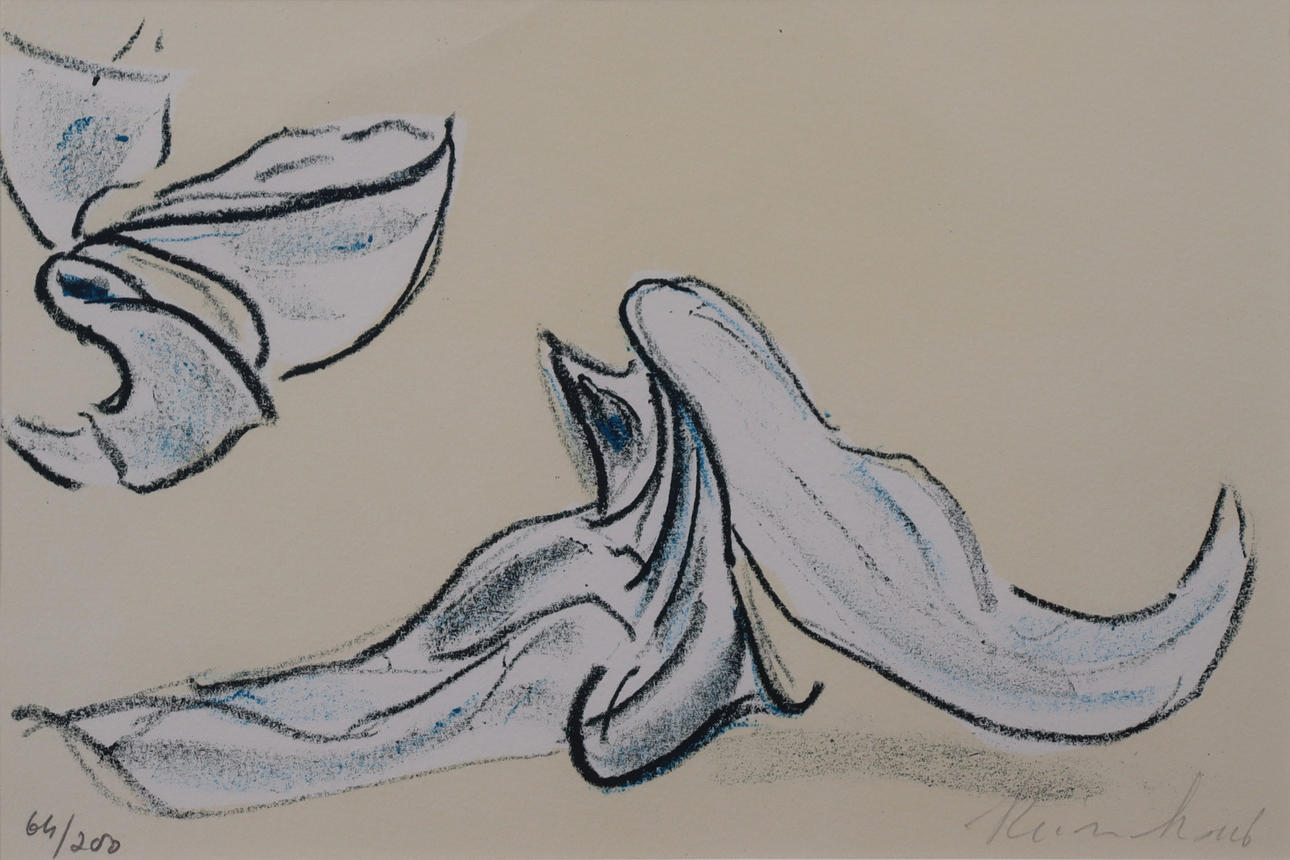 REINHOUD D'HAESE, litografi, komposition.