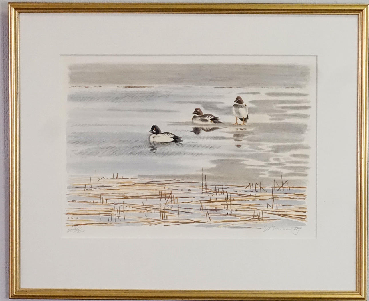 GUNNAR BRUSEWITZ. Lithograph in colours, Knipor in the water, signed, marked HC and numbered IX/XXX.
