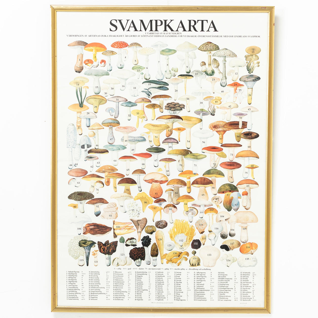 PLANSCH, Lindblads Svamp, inglasad.