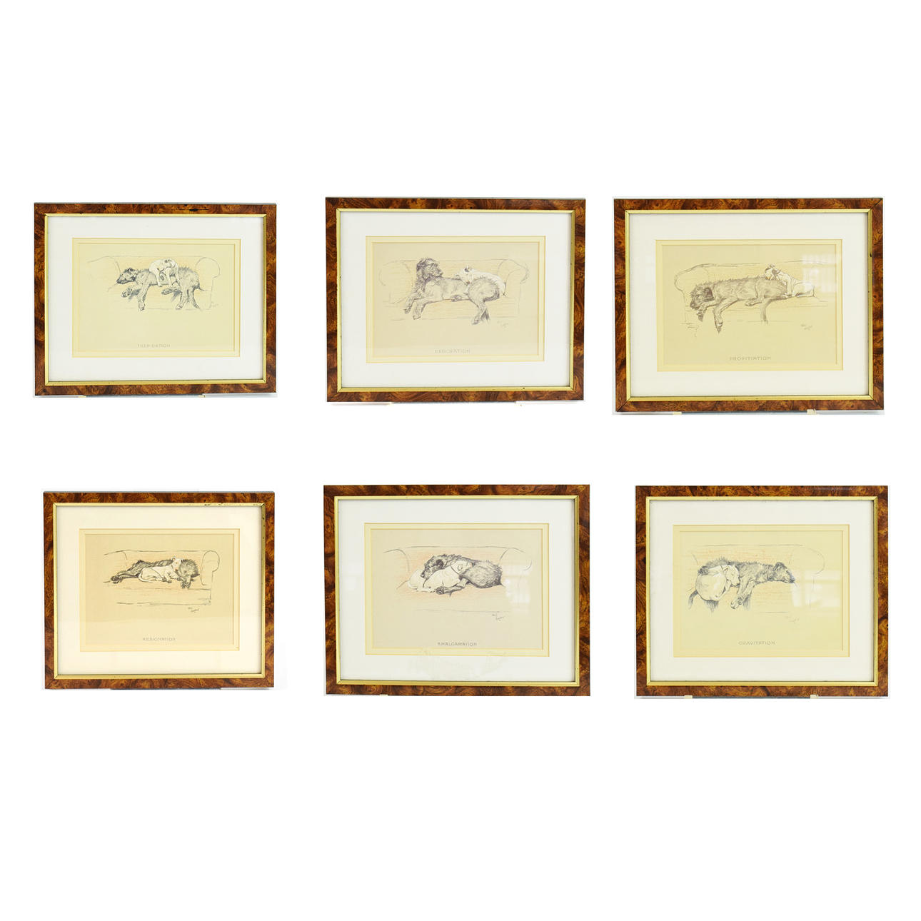 Yerinets bir harakatdagi erotik oyin emas.