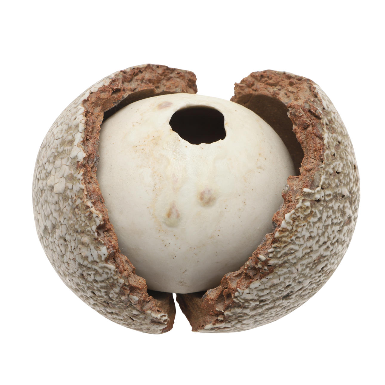 ALAN WALLWORK (1931-2019) - SEED POD.