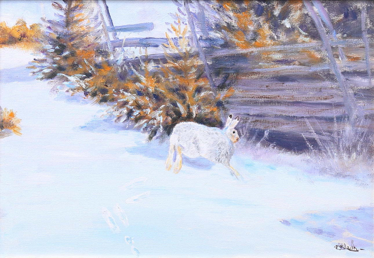 ROY BLADH. “Snow hare”. Oil on canvas, signed.