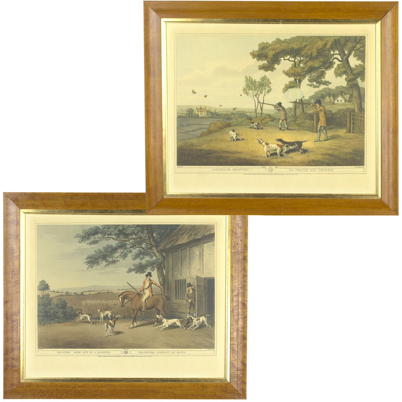 Coing english (84) 사진