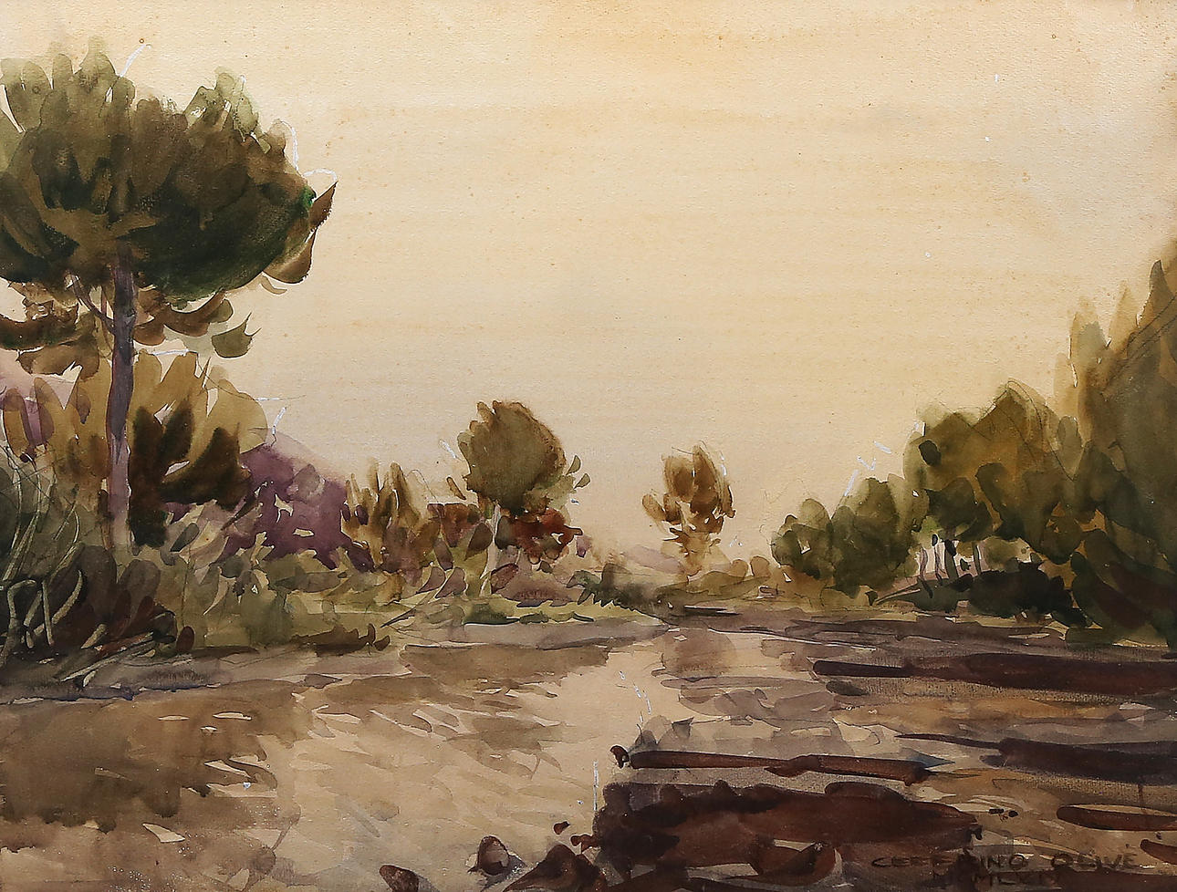 CEFERINO OLIVÉ. Riera de Maspujols, Baix Camp.