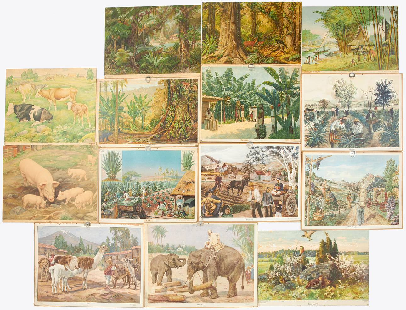 KOULULAUTOJA, 14 kpl, 1900-luku.