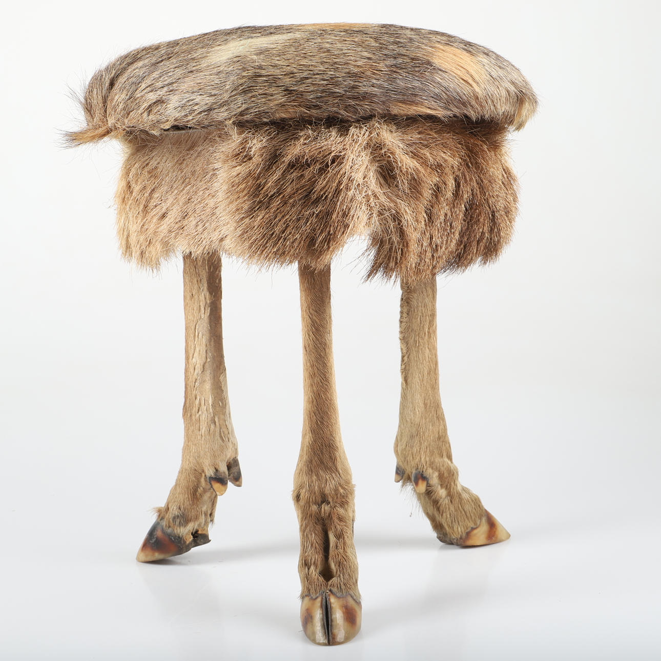 Hocker mit Klauen, Hirsch, 20. Jahrhundert.