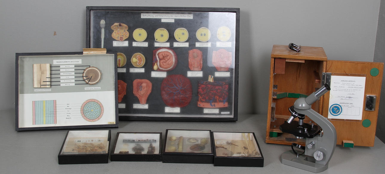 TITTSKÅP, 6 st, MIKROSKOP, Olympus Tokyo, 1900-tal.