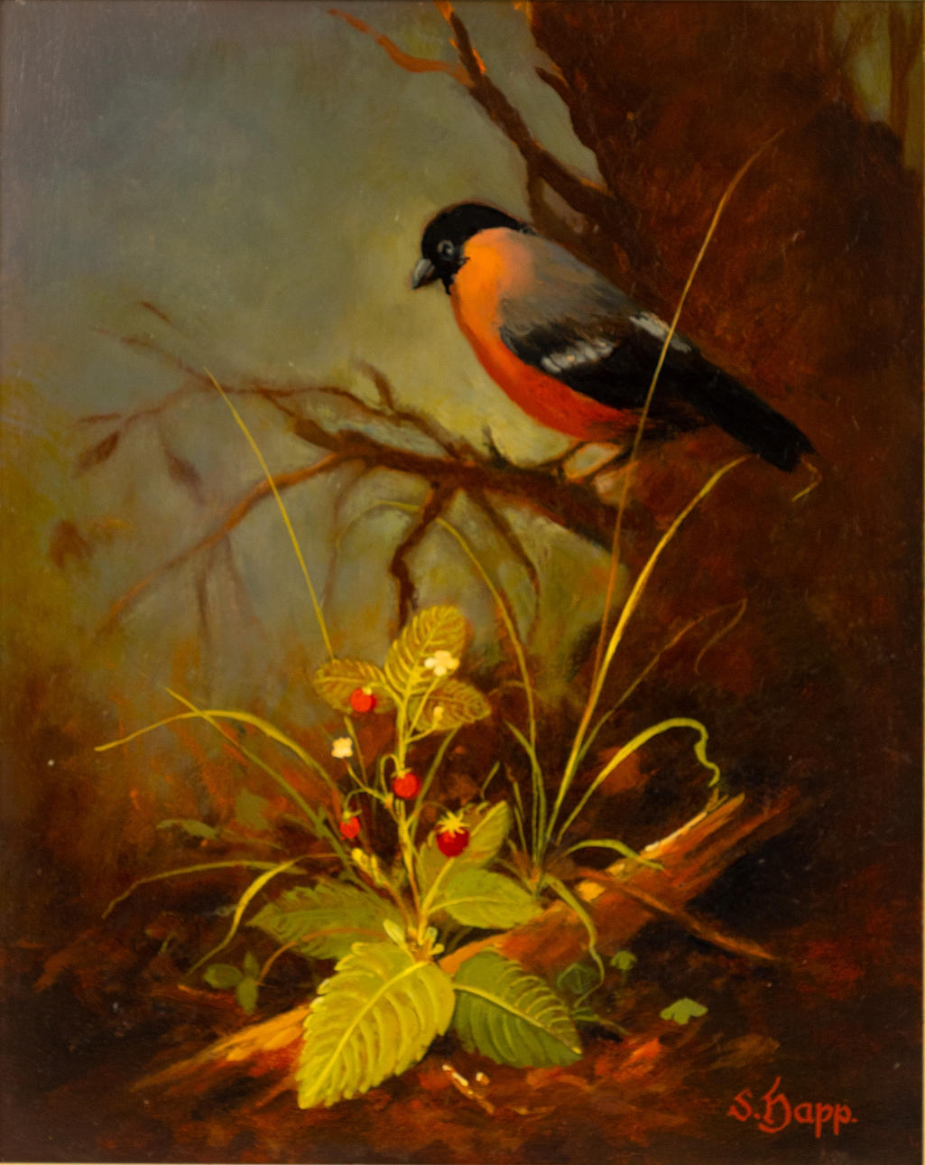 SEPP HAPP (1912-?). Dompfaff mit Erdbeeren.