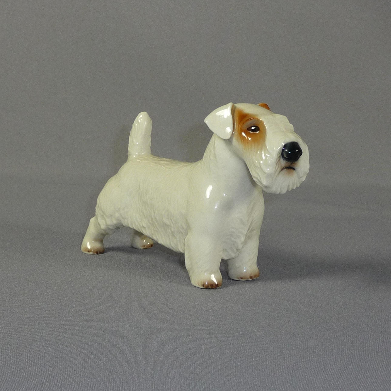 KONRAD SCHMID, Sealyhaminterrieri.