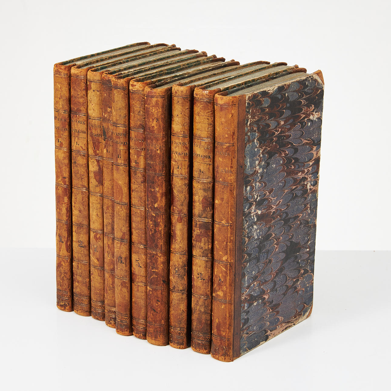 PALMSTRUCH, SWEDISH BOTANY, 10 VOLUMES.