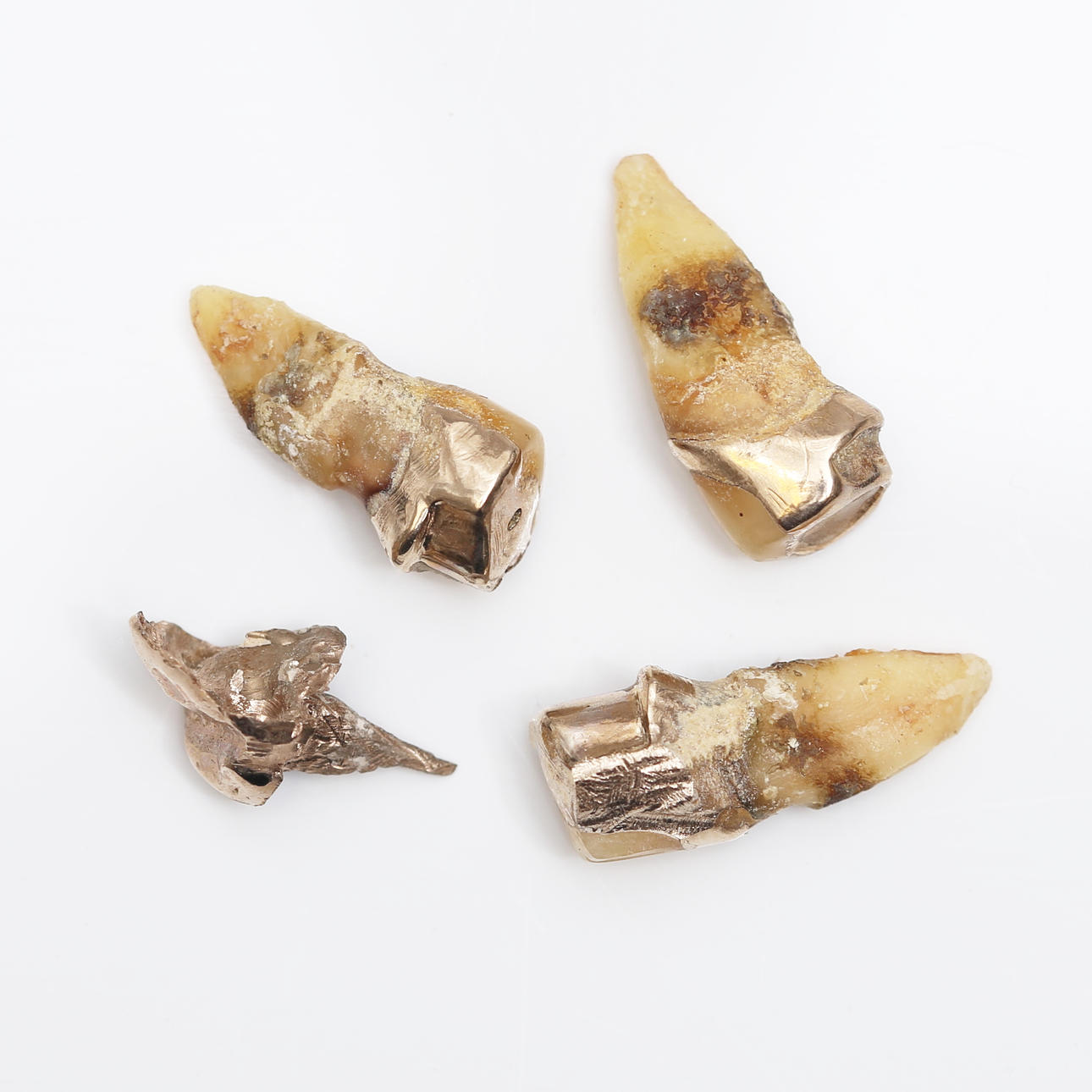 TANDGULD, 10,22 gram.