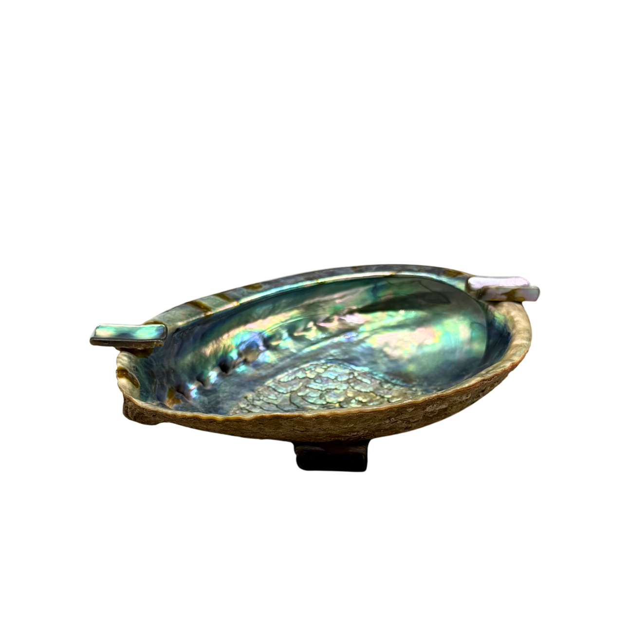 ABALONE MUSSEL SHELL ASHTRAY BOWL.