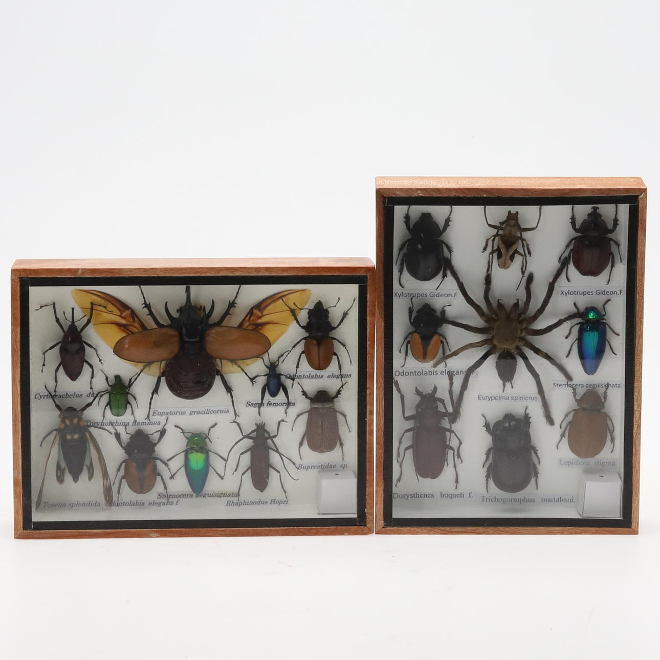 VISNINGSSKAB MED BILLER, 2 stk.