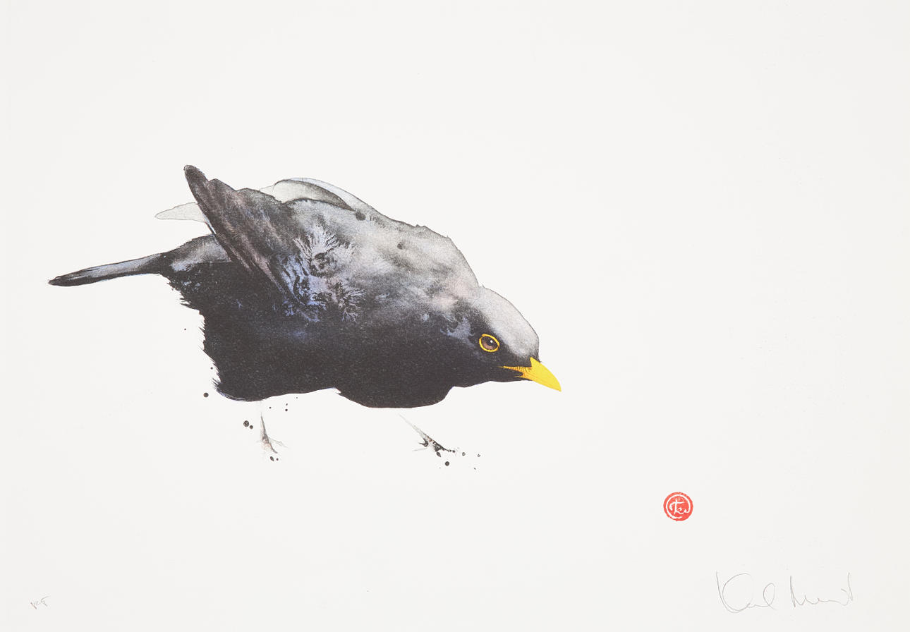 KARL MÅRTENS. Blackbird, lithograph in colours, signed, sample print.