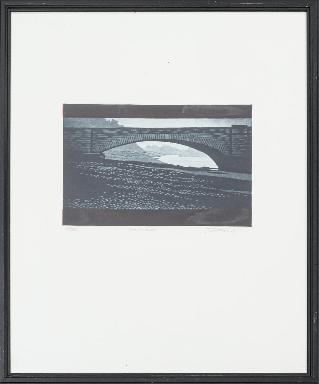 JUKKA VÄNTTINEN. etching, “Transnatura”, signed, dated 95 and numbered 37/250.