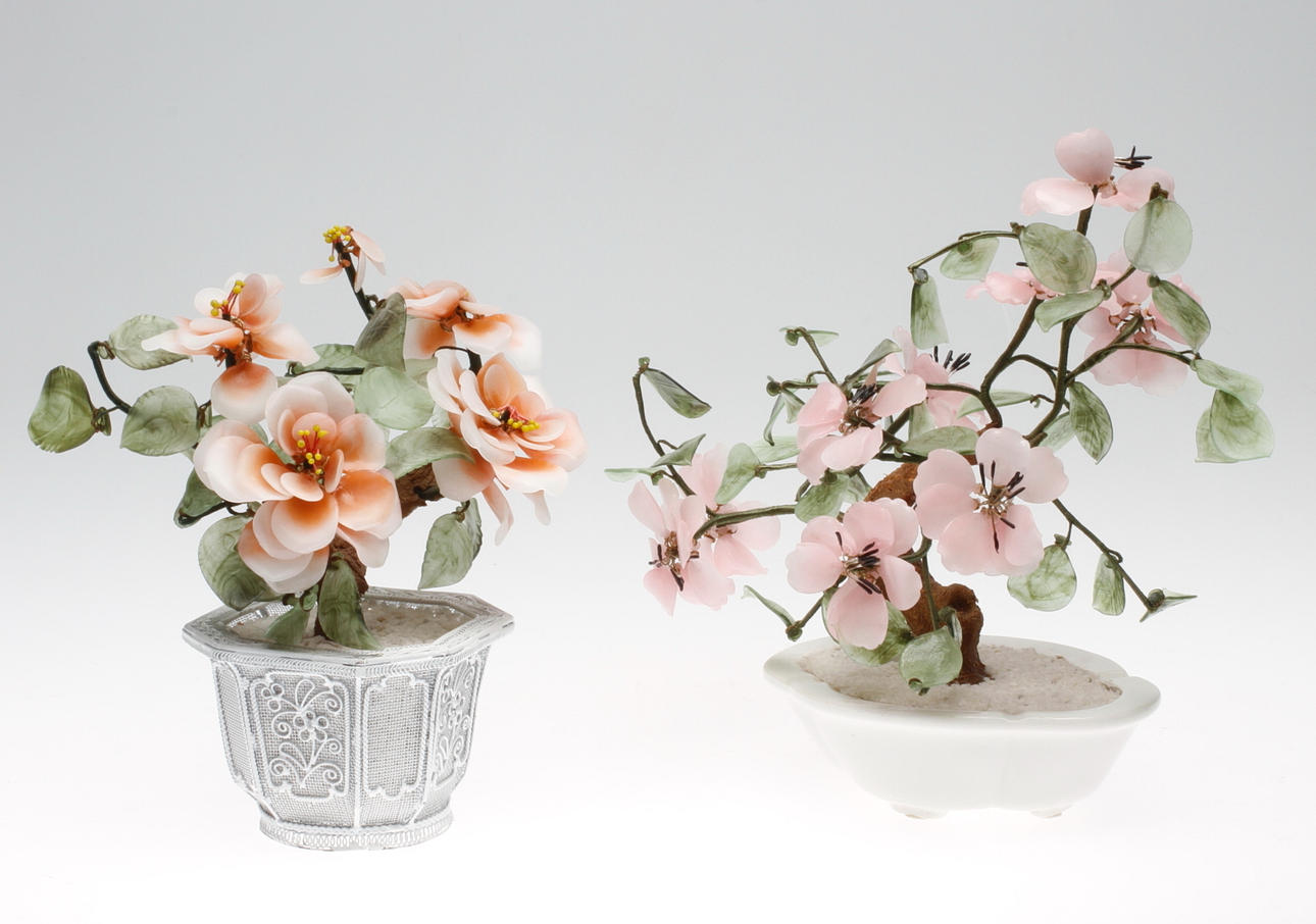 BONSAITRÄD, 2 st, 1900-tal.