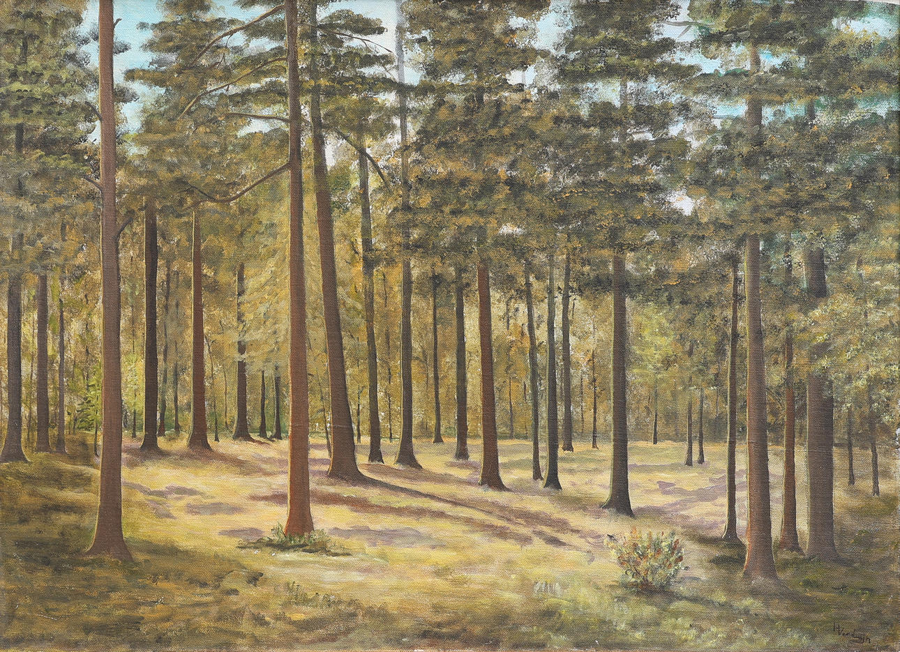 HANS VERDUIJN 1946-. FOREST MOTIF.