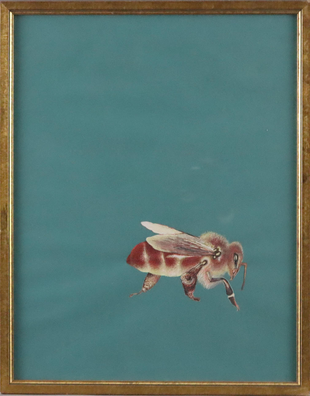 - Unknown artist - bee, gouache on blue paper.