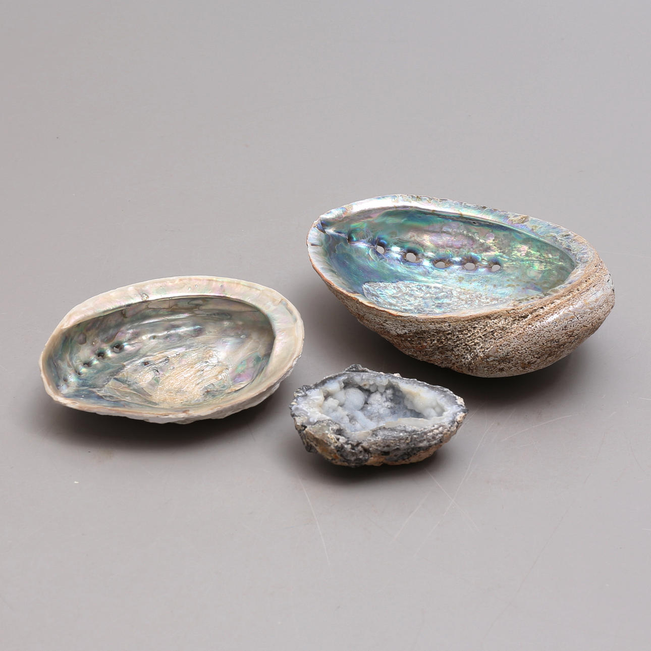 SNÄCKOR, 3 st, mestadels abalone.