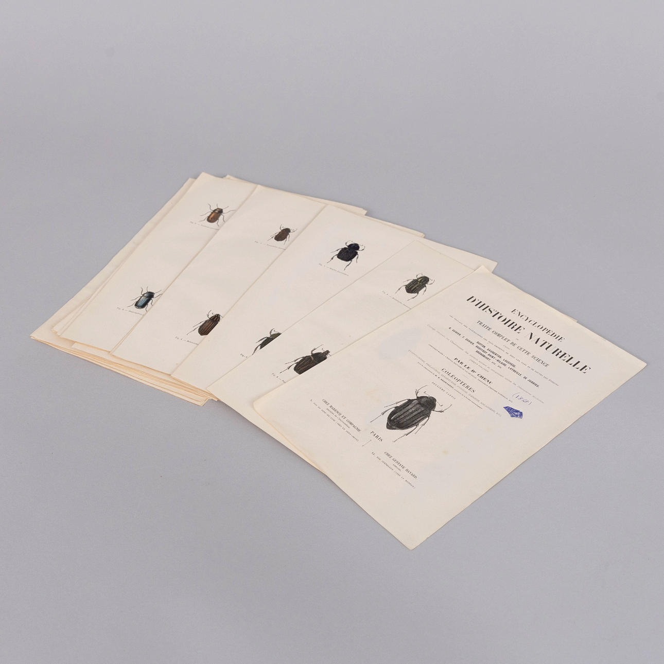 PLANSCHER, 45 stykker kobbergravering, entomologi.