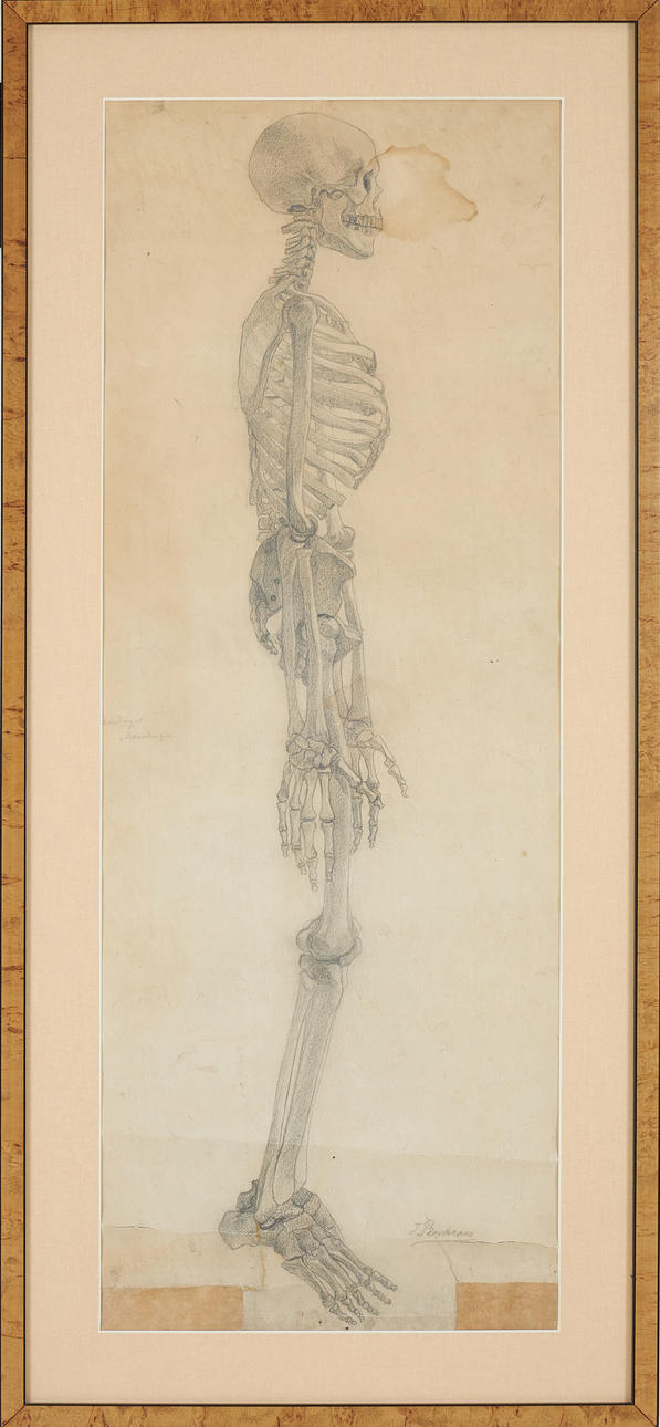 INGEBORG PLOCKROSS. Esqueleto, lápiz, firmado.