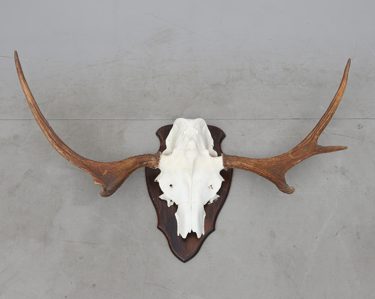 HIRVENSARVI, 1900-luvun loppupuoli.