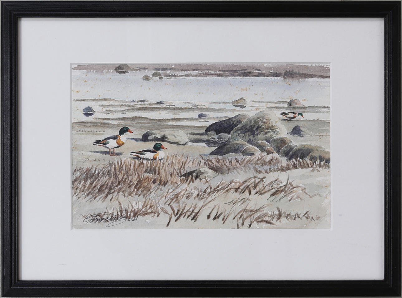 GÖRAN PETERSSON. Fåglar, akvarell, signerad och daterad -82.