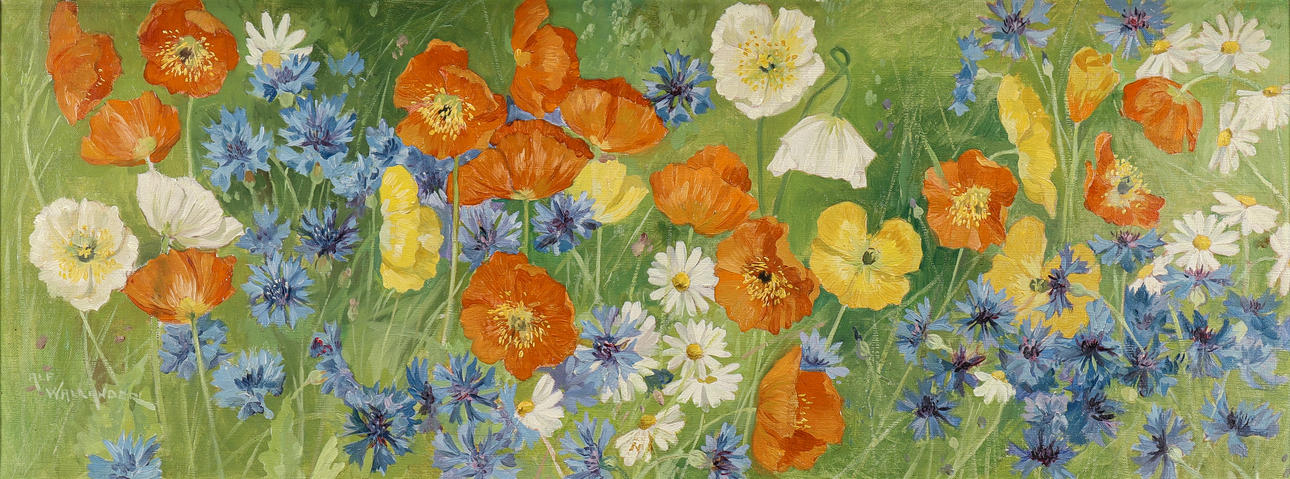 ALF WALLANDER. Engblomster.