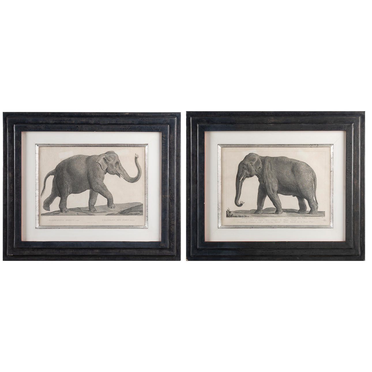 Two 19th century MARÉCHAL ENGRAVINGS.