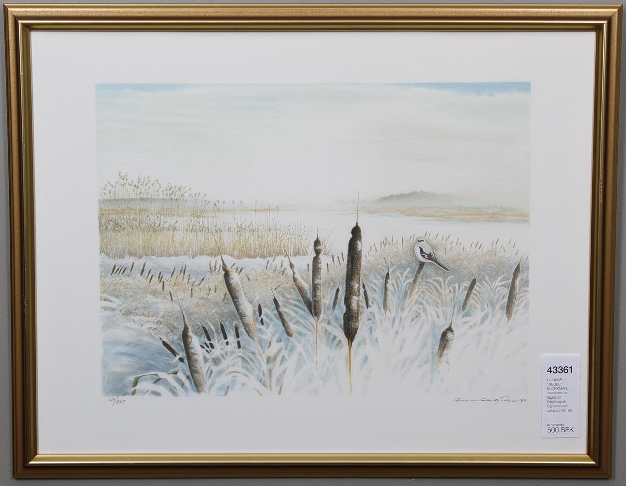 GUNNAR "GEBBE" BJÖRKMAN. "Midvinter vid fågelsjön". Färglitografi. Signerad och daterad -87.