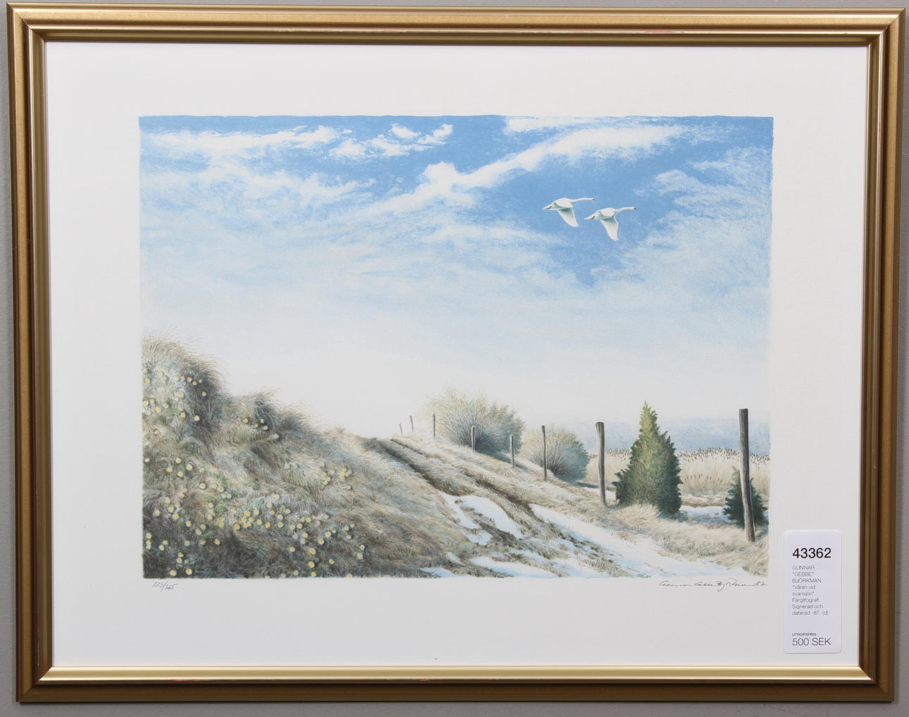 GUNNAR "GEBBE" BJÖRKMAN. "Våren vid svansjön". Färglitografi. Signerad och daterad -87.