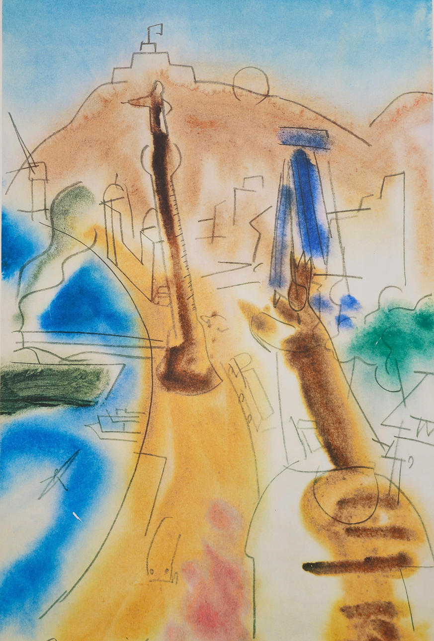 SHEPHERD PARAKEET. LITHOGRAPHY. AS IS. BARCELONA. SIGNED AND JUSTIFIED BY HAND. 79/200.
