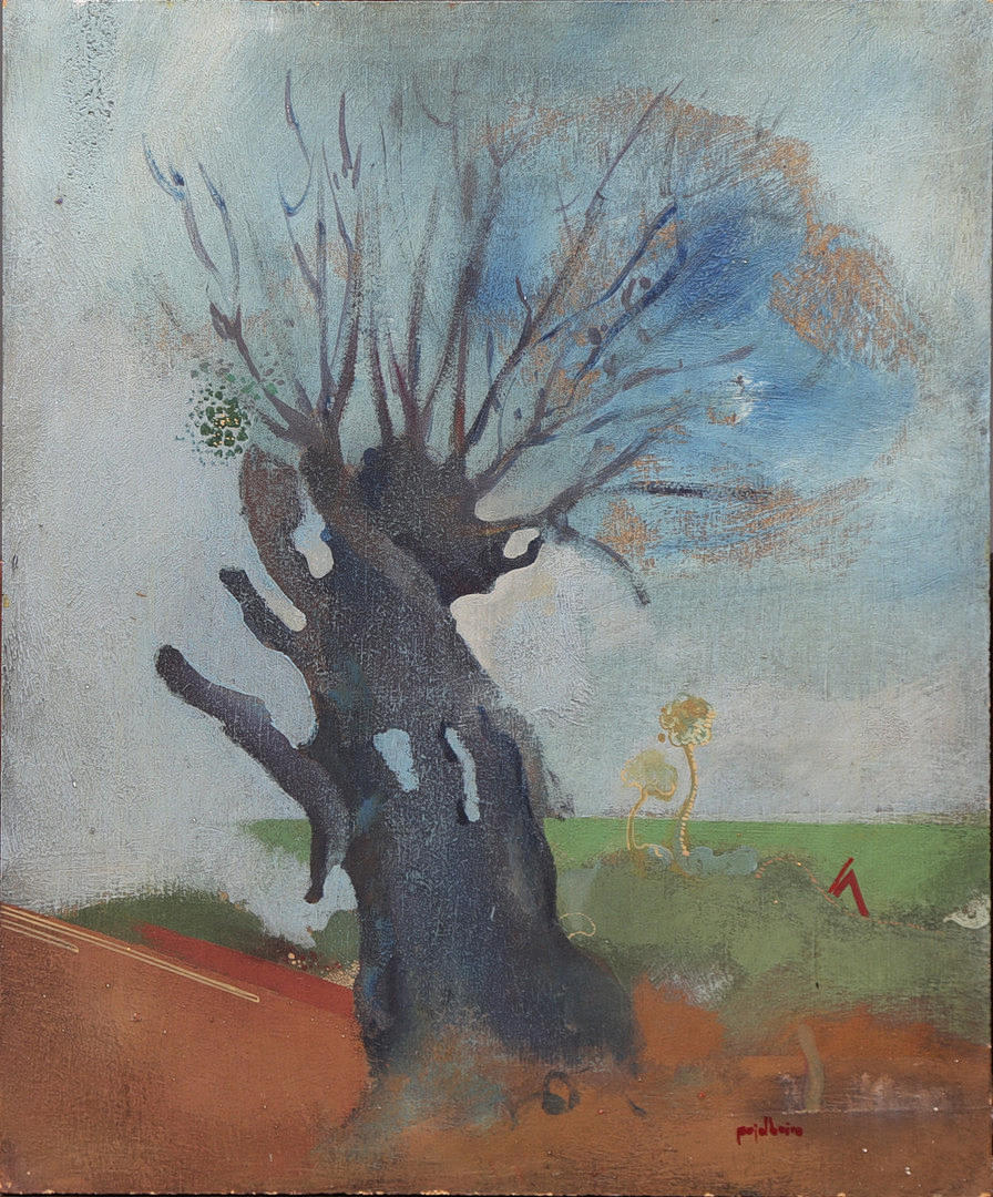 RAMON PUJOL BOIRA. Sin título ("serie Herballum").