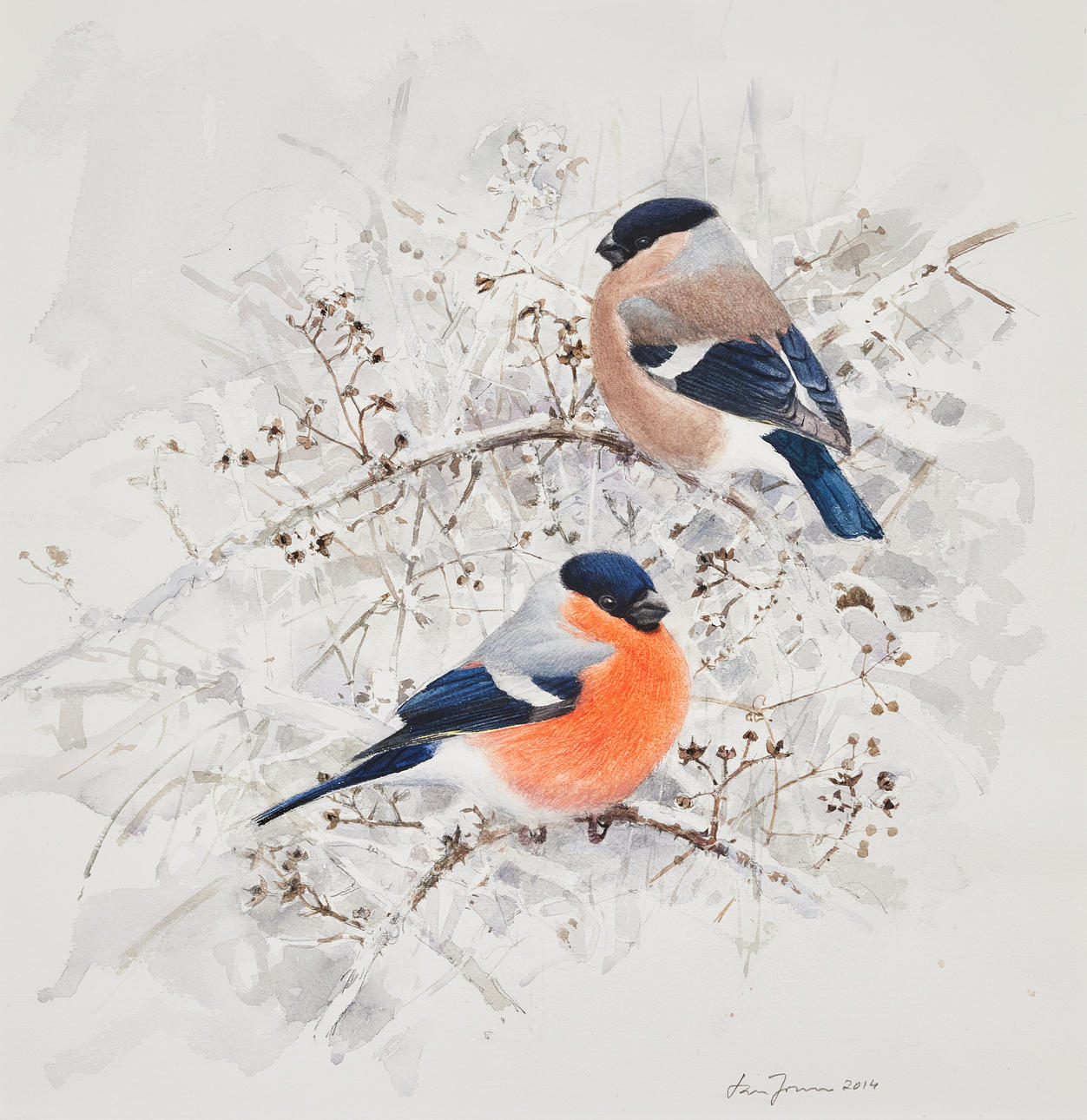 LARS JONSSON. “Lords”.